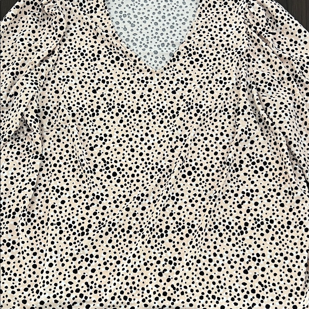 Adrianna Papell Cream and Black Polka Dot Blouse